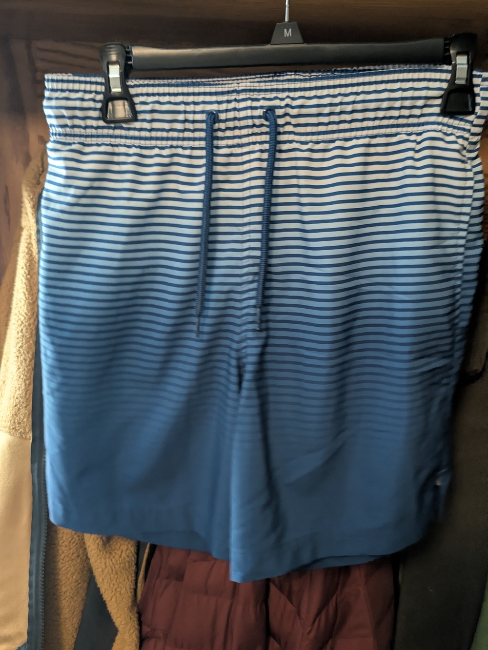 George Blue Ombre Stripe Swim Trunks